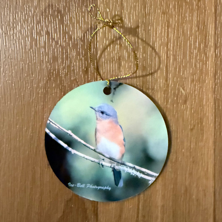 Ornament Sweet Female Blue Bird