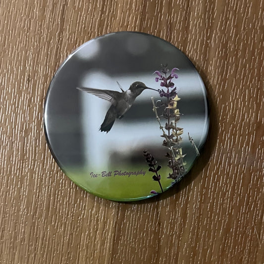 Magnet Hummingbird 1