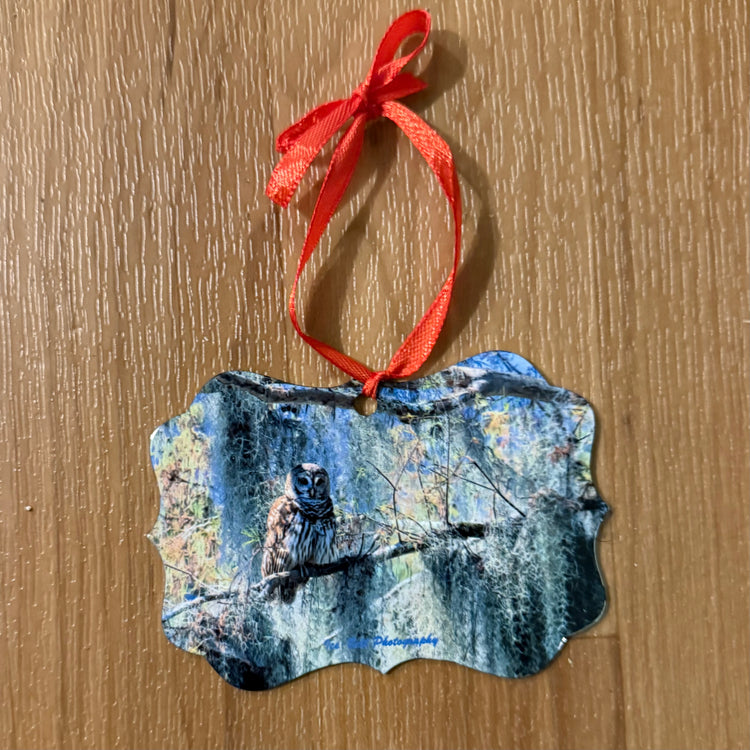 Ornament Barred Owl with Spanish Moss