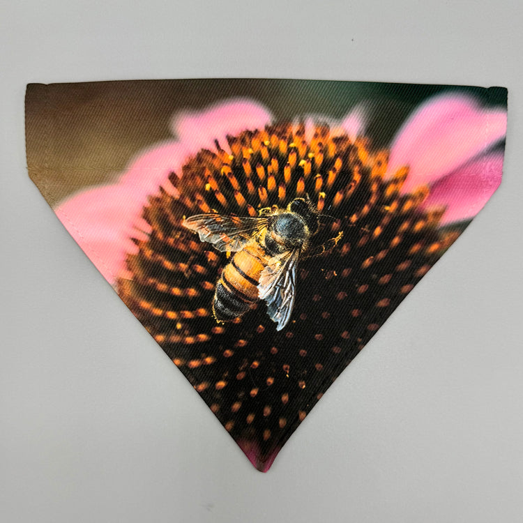 Over Collar Bandana - Cone Flower with Bee - SM