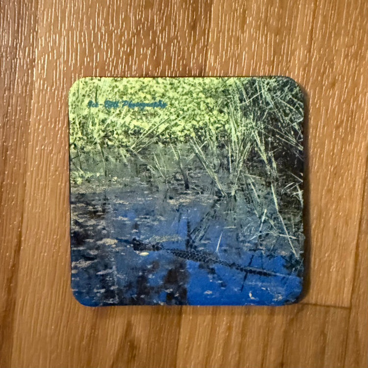 Coaster Momma Alligator