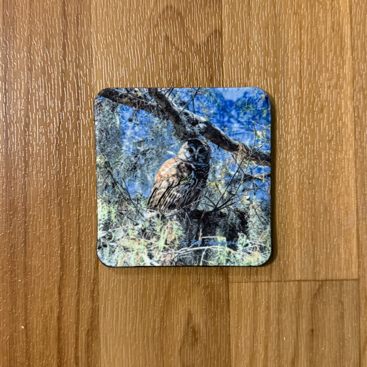 Coaster Barred Owl