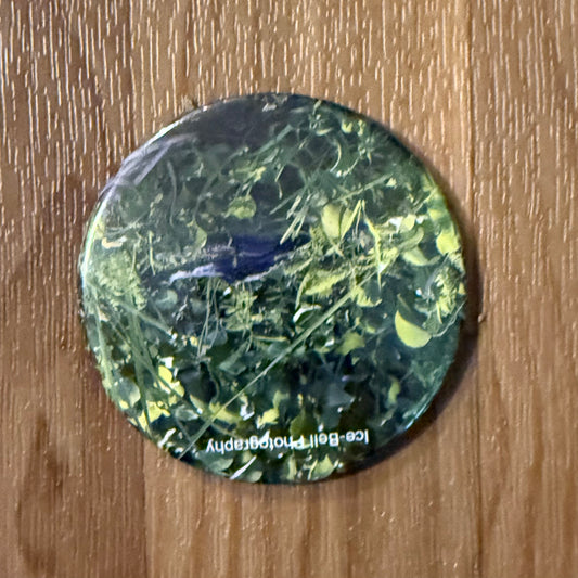 Magnet Alligator on Land