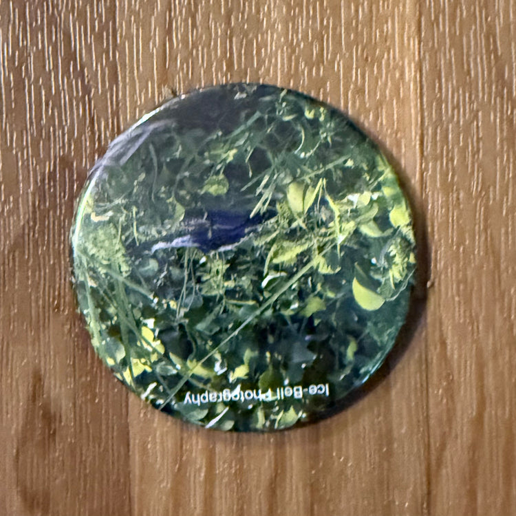 Magnet Alligator on Land