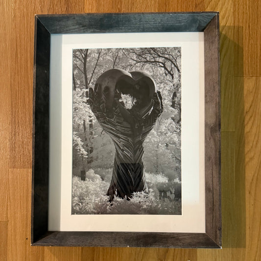 Open Heart in IR Framed Photograph