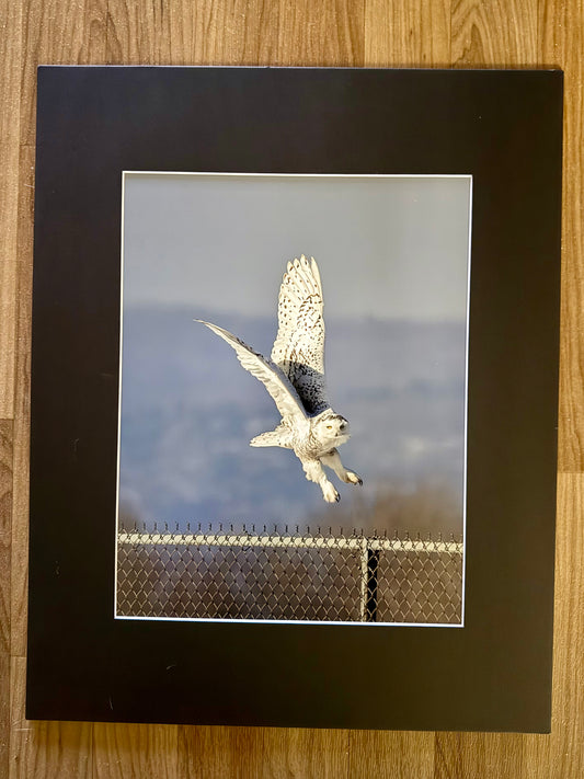 Silent Tundra Hunter Matted Print