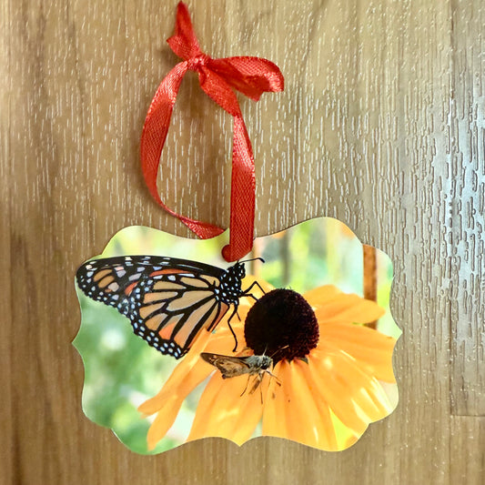 Ornament Cardinal Monarch On Black Eyed Susan