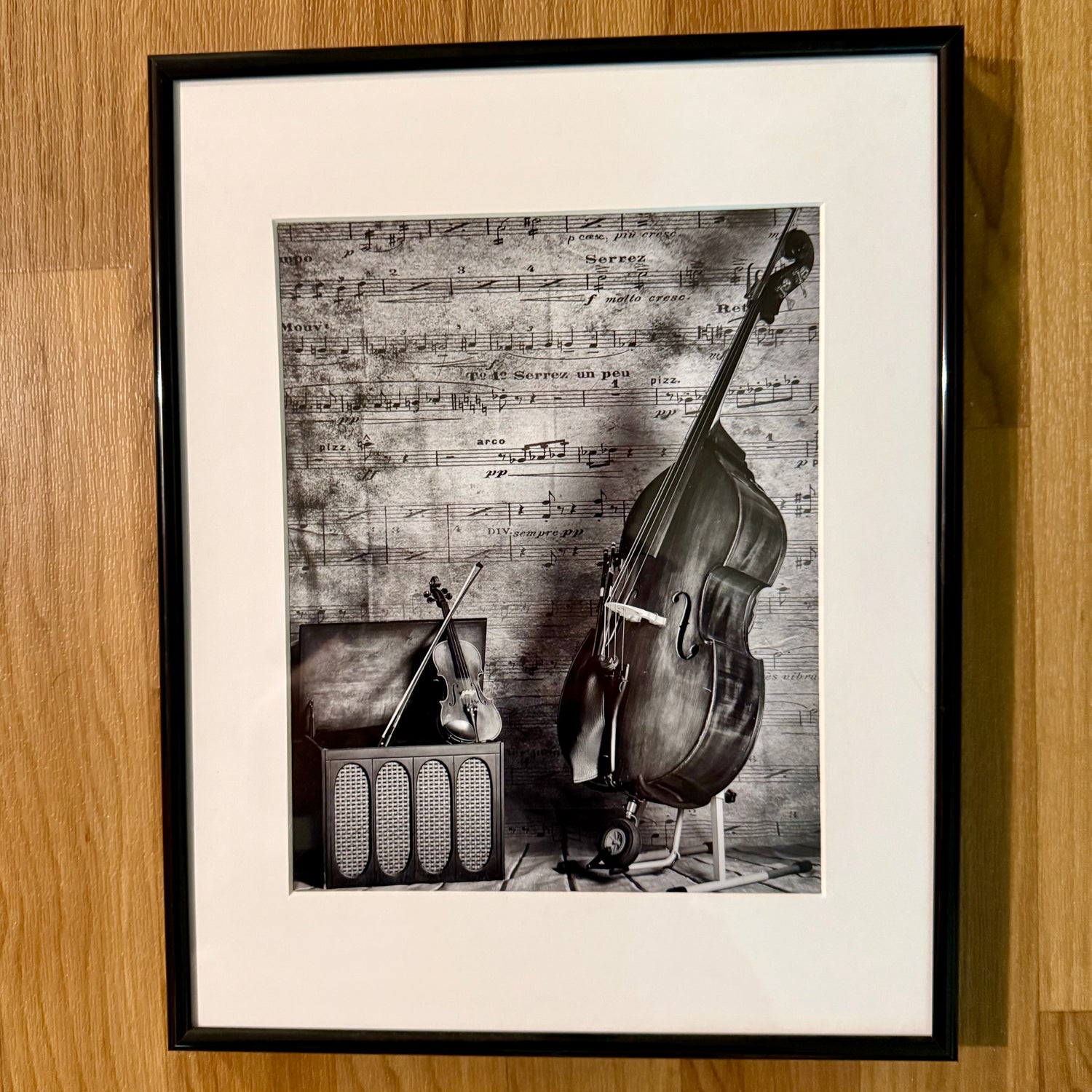 Framed Photograph