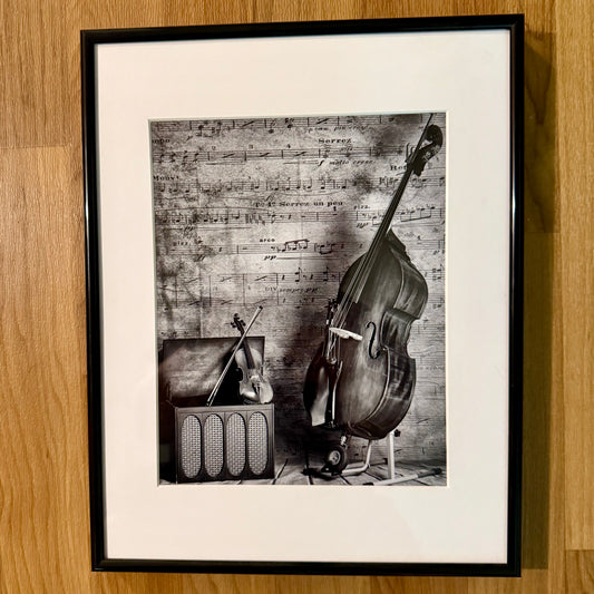 Let The Music Speak Framed Photograph