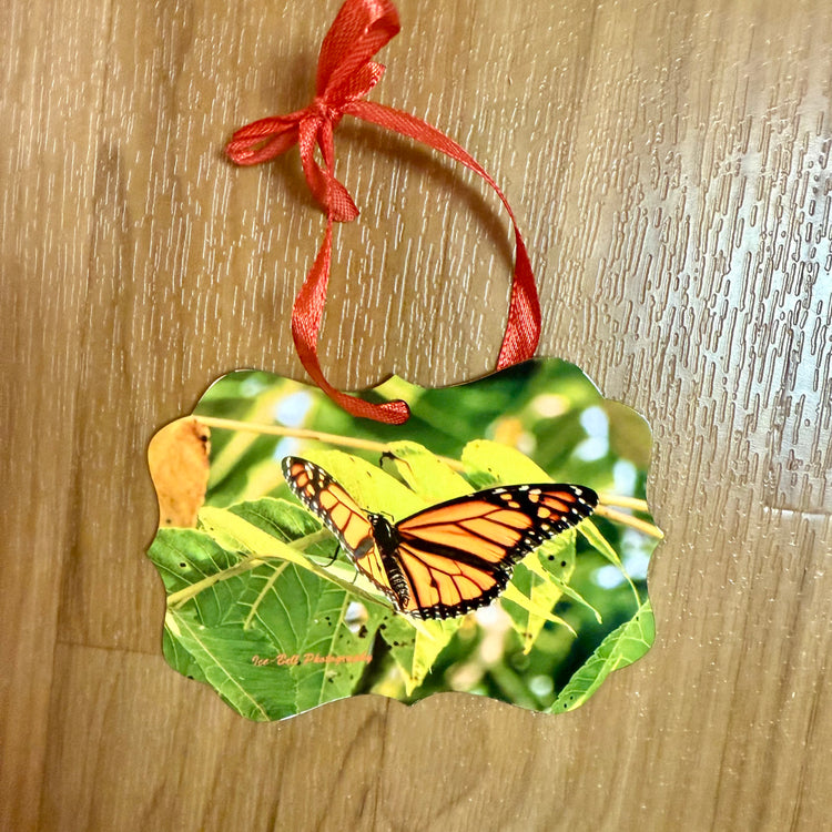 Ornament Monarch In Tree