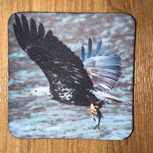 Coaster Fourth Year Bald Eagle with Fish