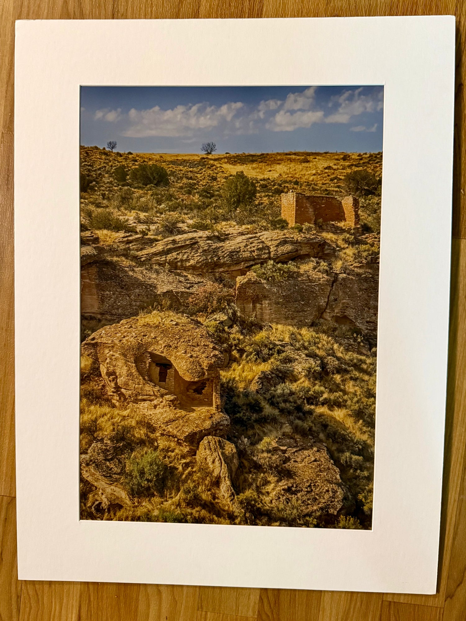 Matted and Mounted Prints