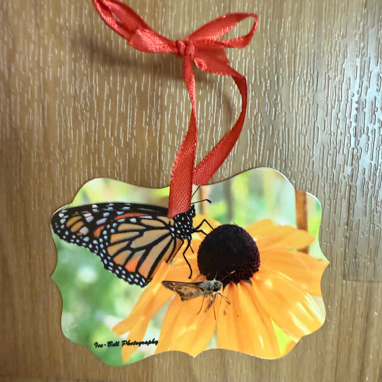 Ornament Cardinal Monarch On Black Eyed Susan