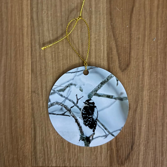 Ornament Cardinal Downey in Snow