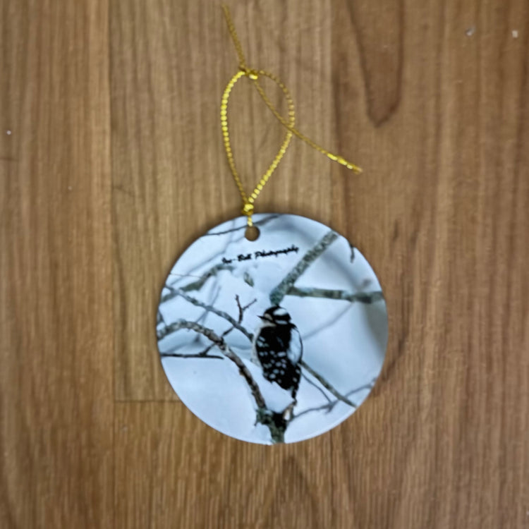 Ornament Cardinal Downey in Snow