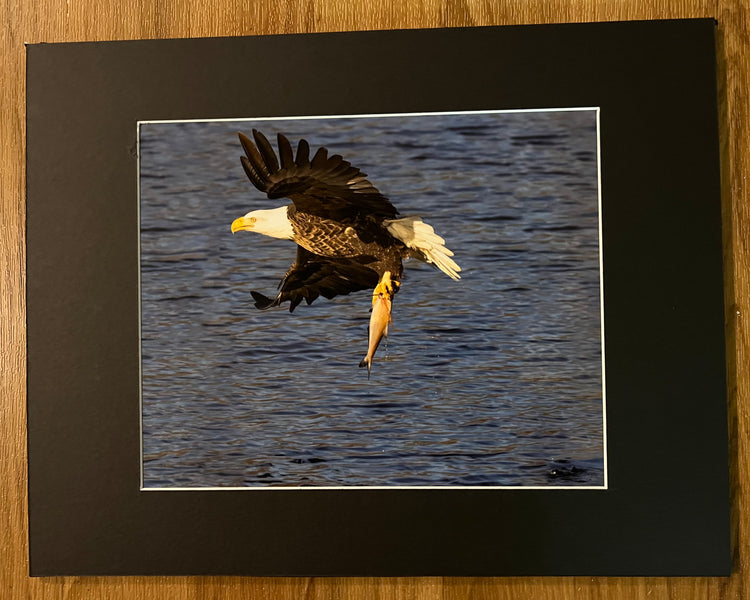 The Catch Matted Print