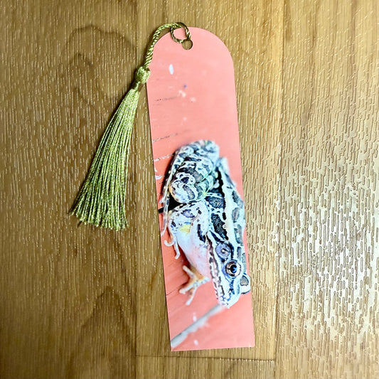 Pickerel Frog Metal Bookmark