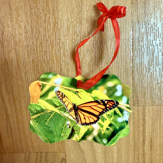 Ornament Monarch In Tree