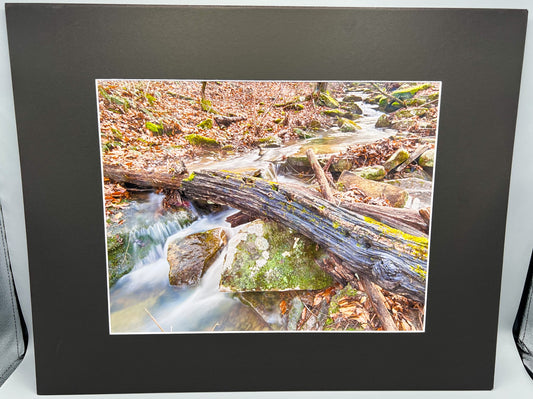 Stream Along Alumn Cove Matted Print