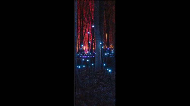 Retractable Ballpoint Pen - Crystal Grove Red
