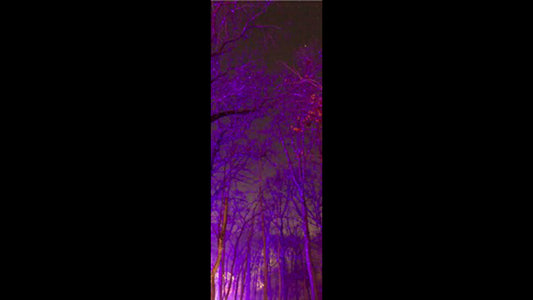 Retractable Ballpoint Pen - Memory of Water Trees 2