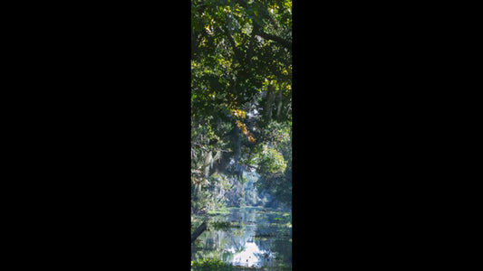 Retractable Ballpoint Pen - Swamp View