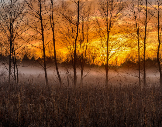 Fire and Fog Sunset Matted Print