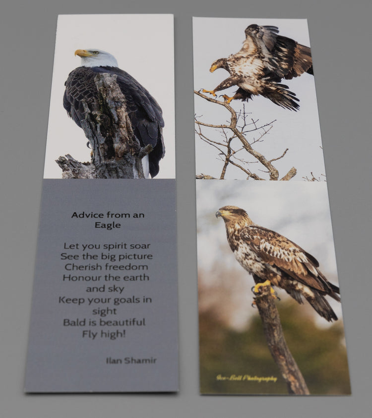 Bookmark Advice from an Eagle - Bald Eagles