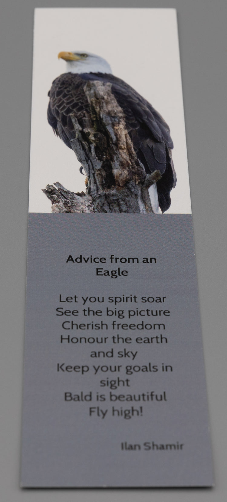 Bookmark Advice from an Eagle - Bald Eagles