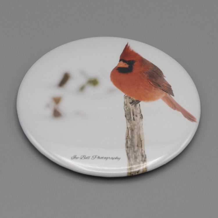 Magnet Cardinal in Snow