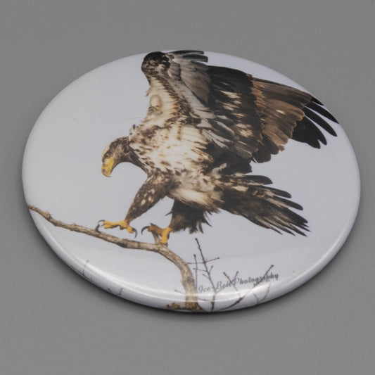 Magnet Juvenile Bald Eagle Landing
