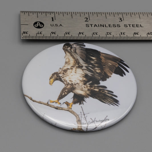 Magnet Juvenile Bald Eagle Landing