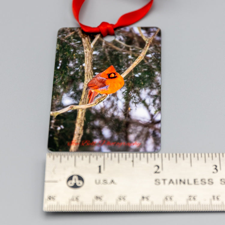 Ornament Cardinal with Cedar
