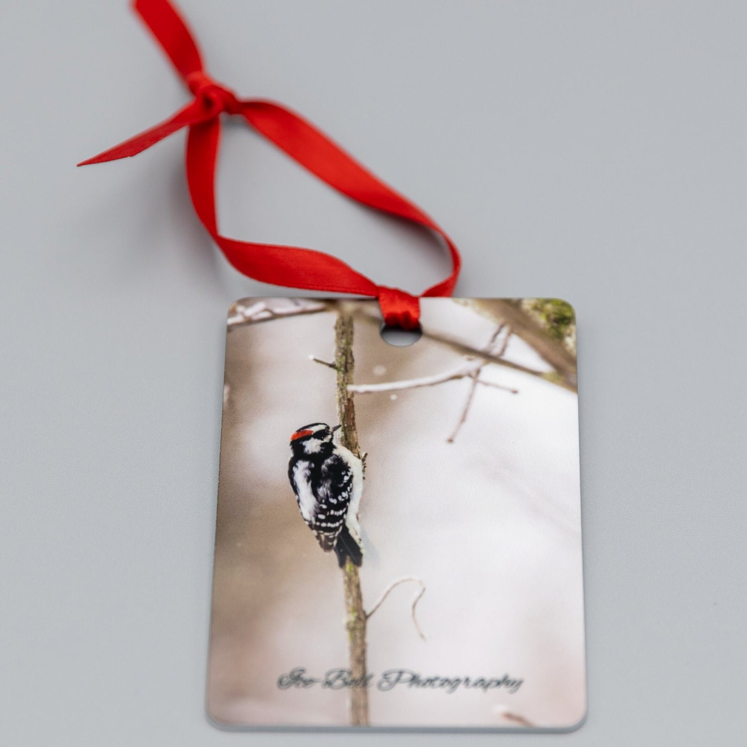 Ornament Downey Woodpecker