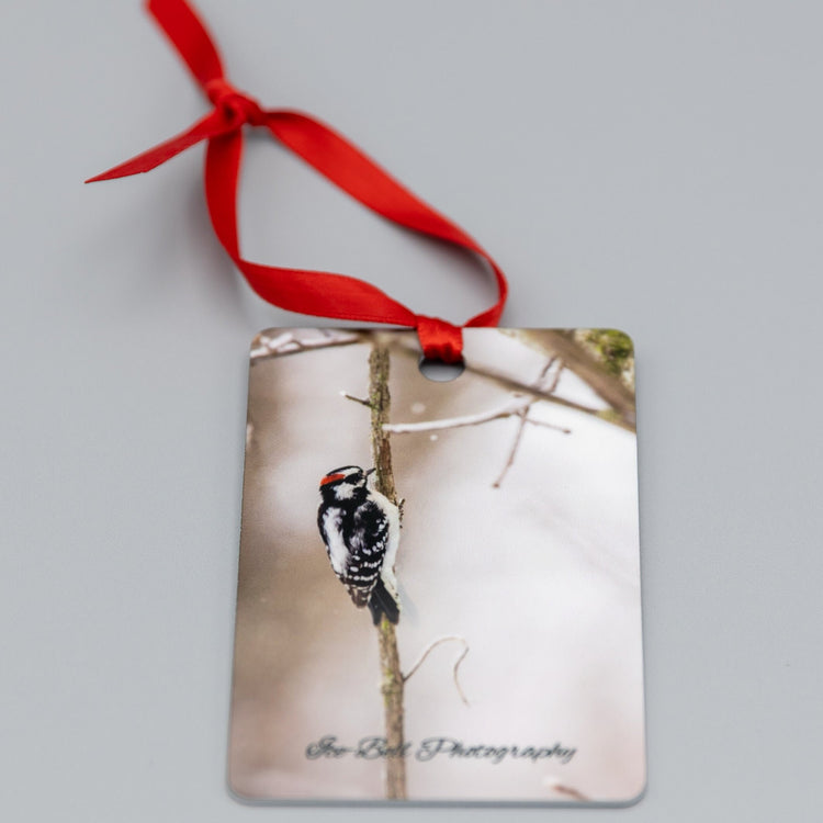 Ornament Downey Woodpecker