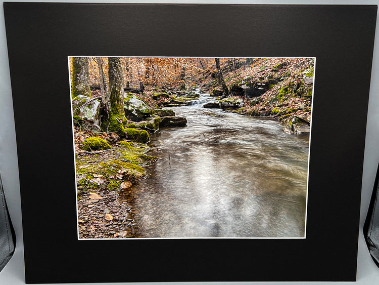 Running Water Along Alum Cove TrailMatted Print