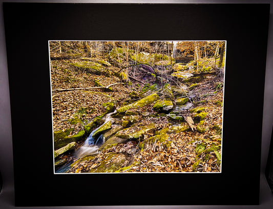 Unknown Waterfall at Alum Cove Trail Matted Print