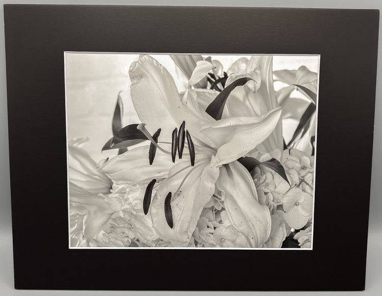 B&W Lily and Hydrangea Matted Print