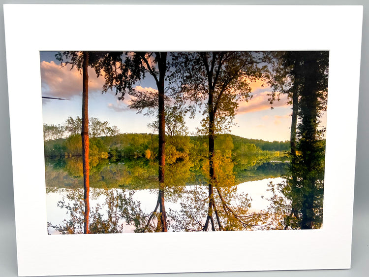 Peace Amongst The Flood Water Matted Print