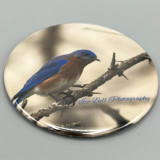 Magnet Female Blue Bird