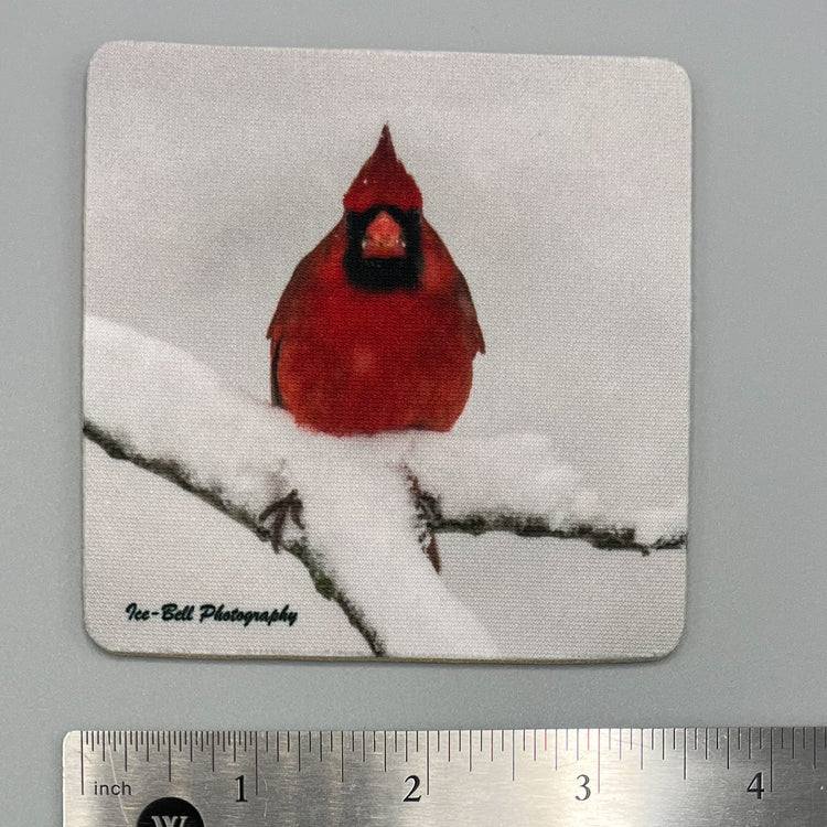 Coaster Cardinal in Snow Facing Forward