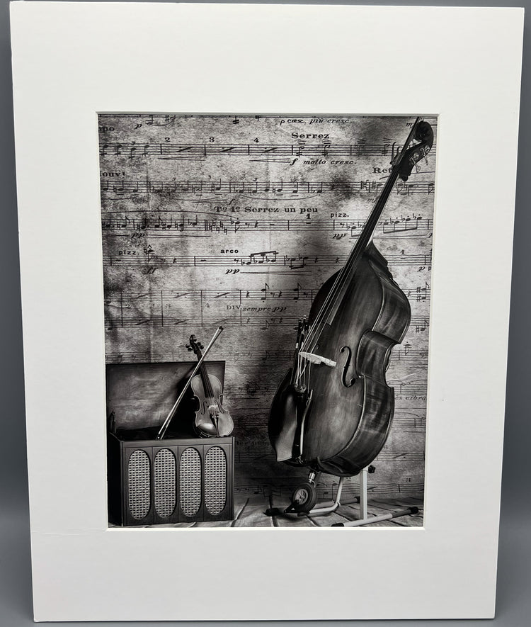 Let The Music Speak Matted Print